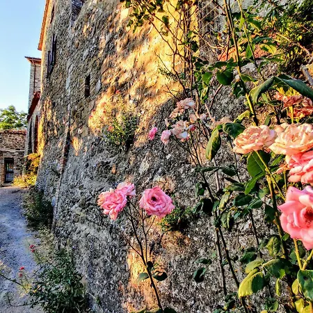 Historic 14th Century Palazzo